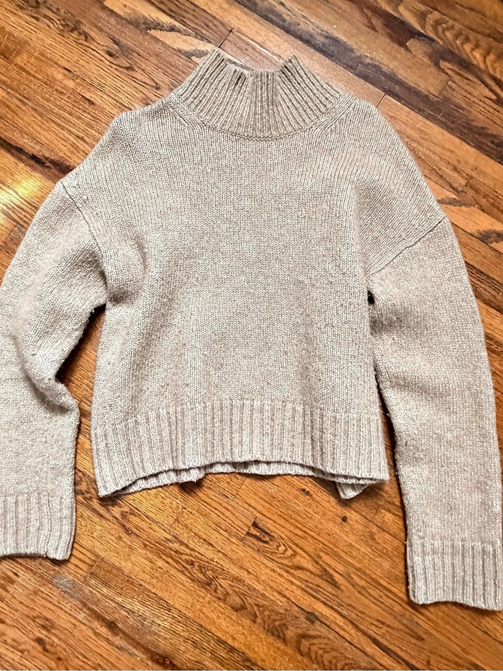 Everlane The Cloud Oversized High Turtleneck Sweater Beige wool blend S